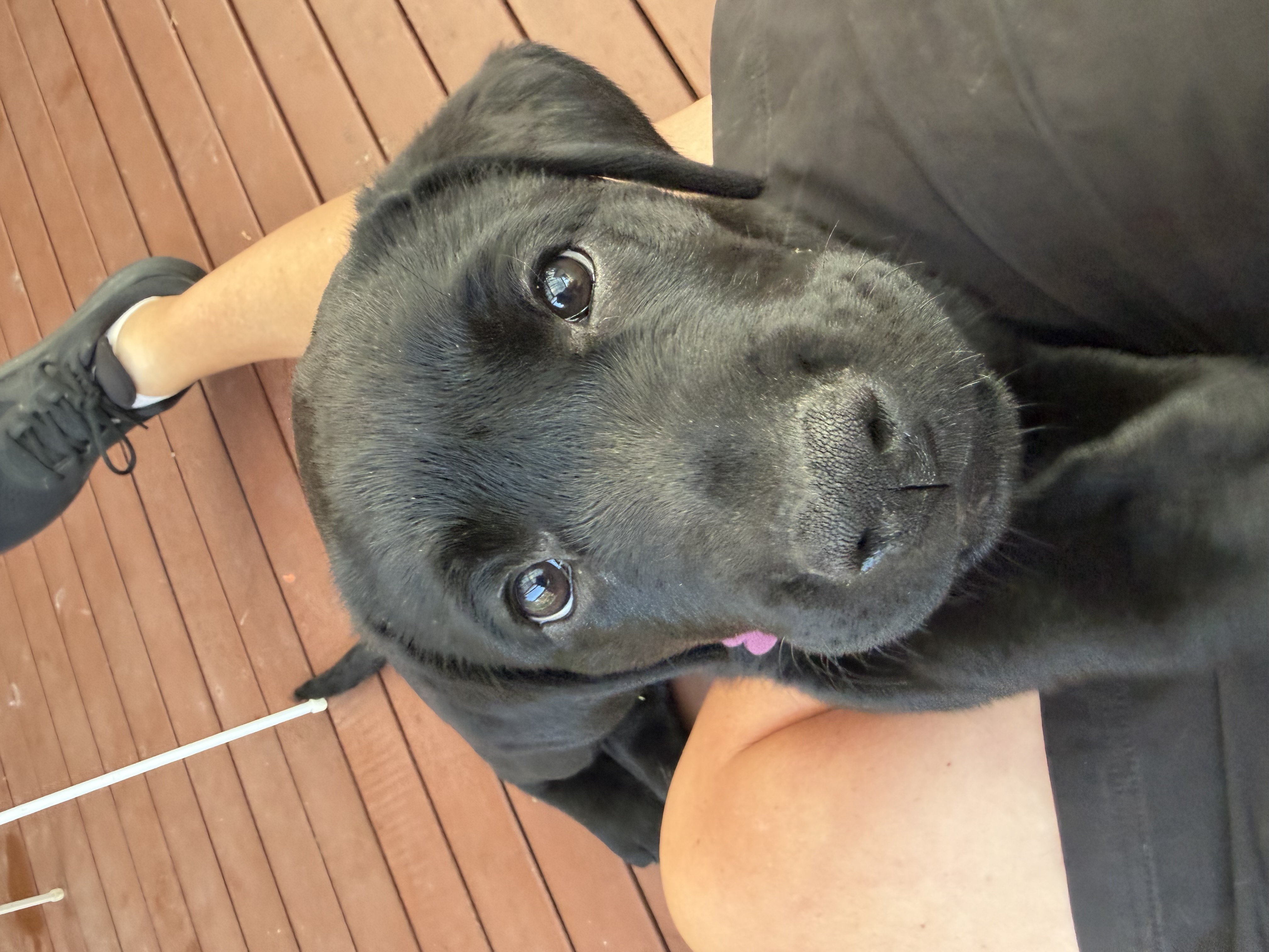 Ellie