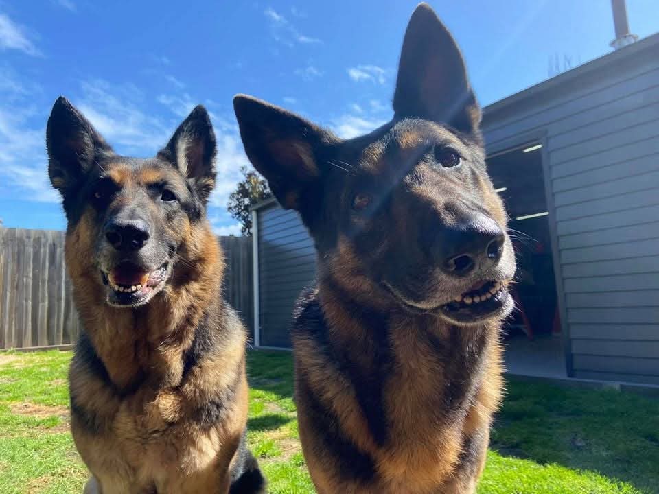Sasha, Donnie or Onyx