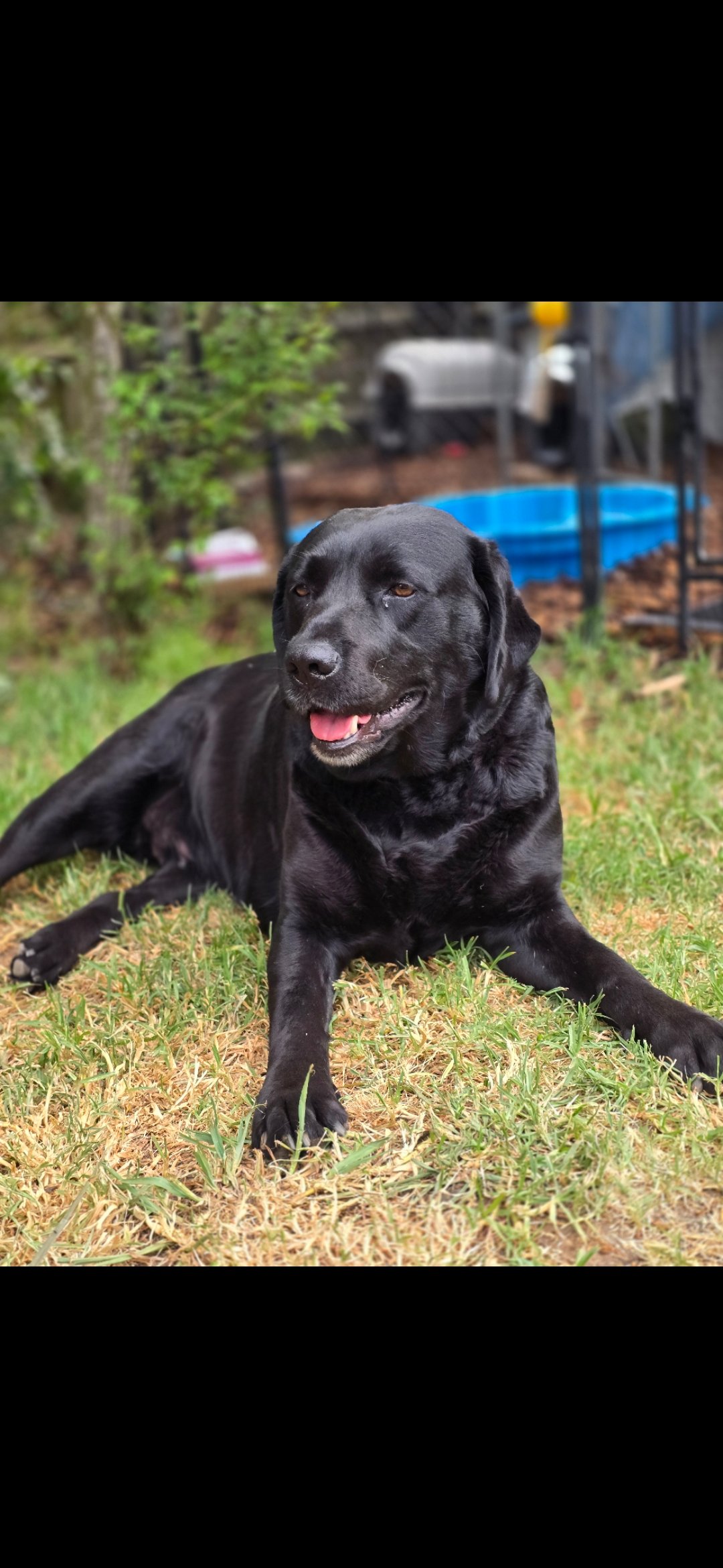 Lab